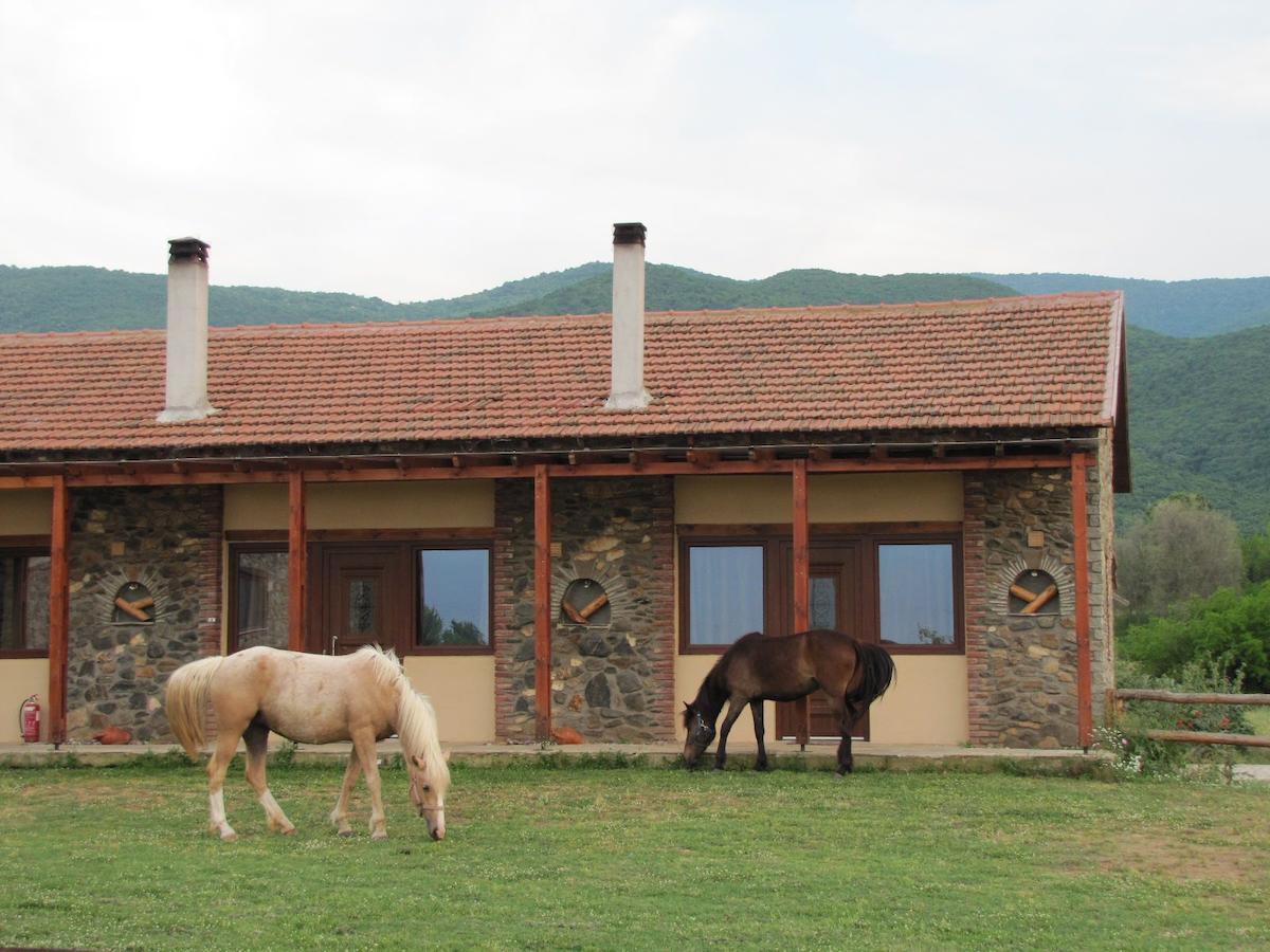 Ihnilatis Bed & Breakfast Kerkíni Dış mekan fotoğraf