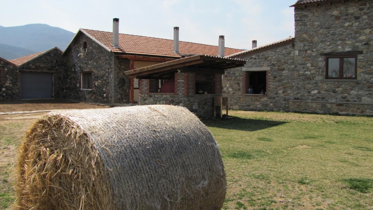 Ihnilatis Bed & Breakfast Kerkíni Dış mekan fotoğraf